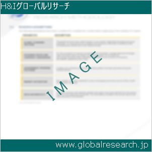 グローバルリサーチ調査レポートのイメージ